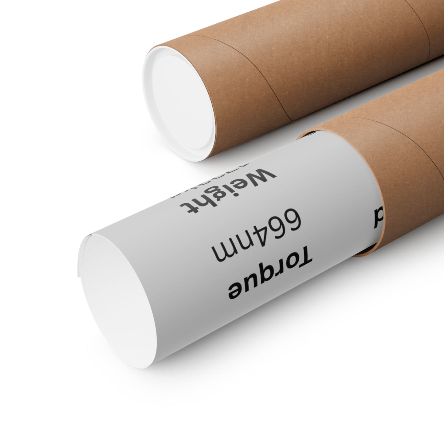 Dodge Charger R/T Custom Poster